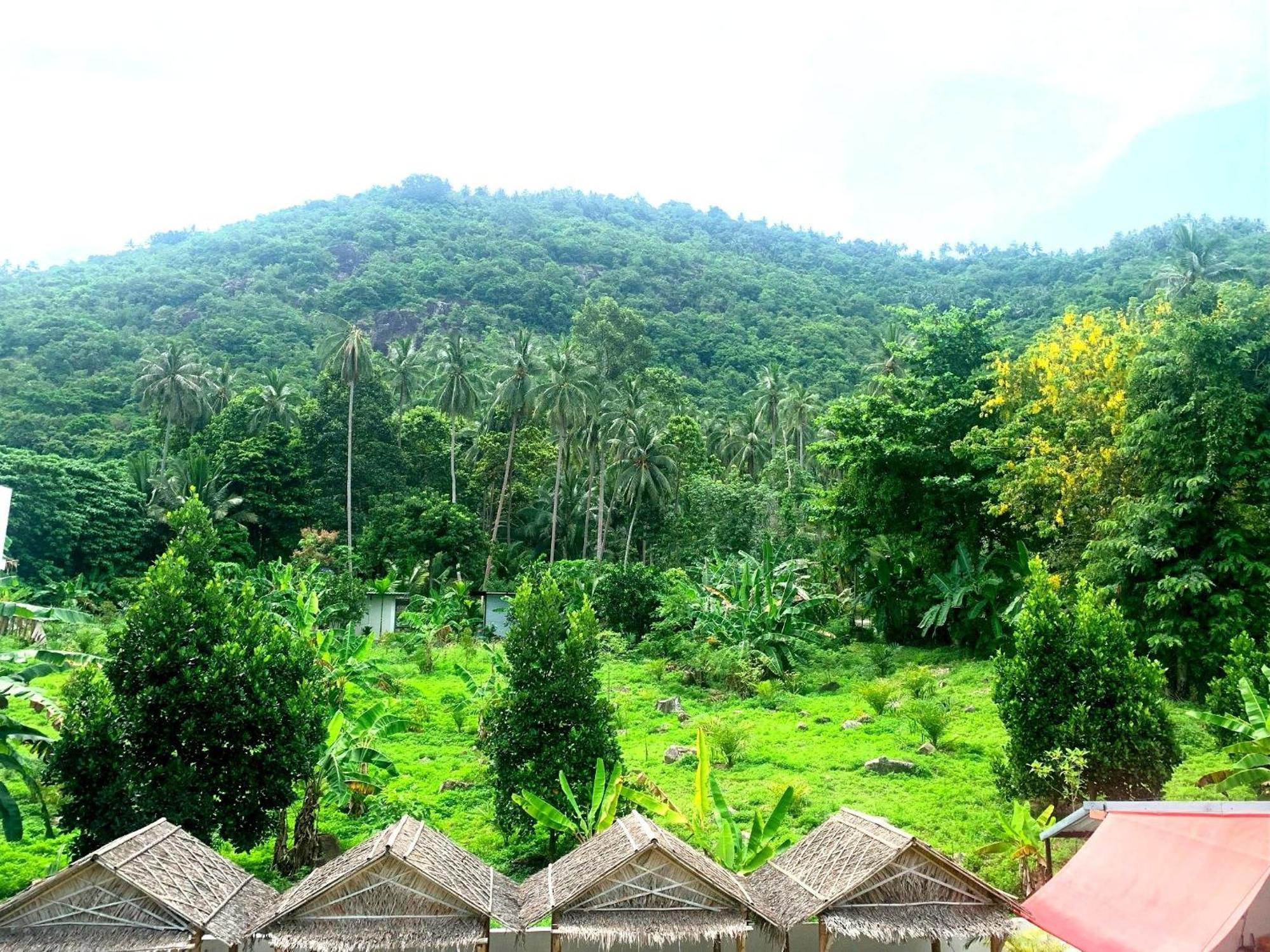 Samui Hills Resort