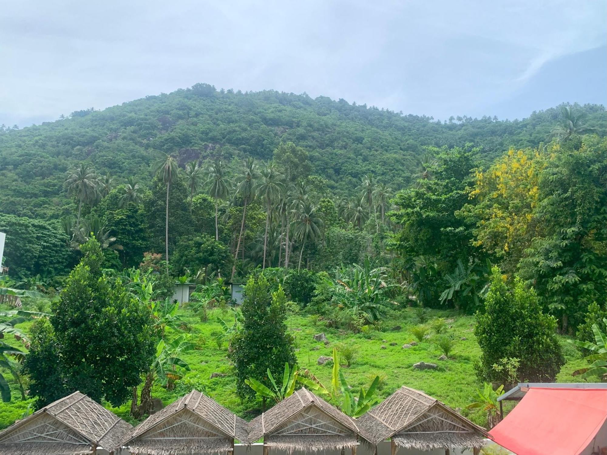Samui Hills